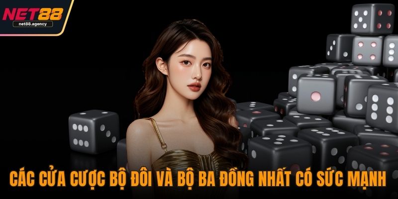 Tài Xỉu Sảnh Rồng NET88: Nơi Phán Đoán Và Đẳng Cấp Lên Ngôi Các cửa cược bộ đôi và bộ ba đồng nhất có sức mạnh lớn