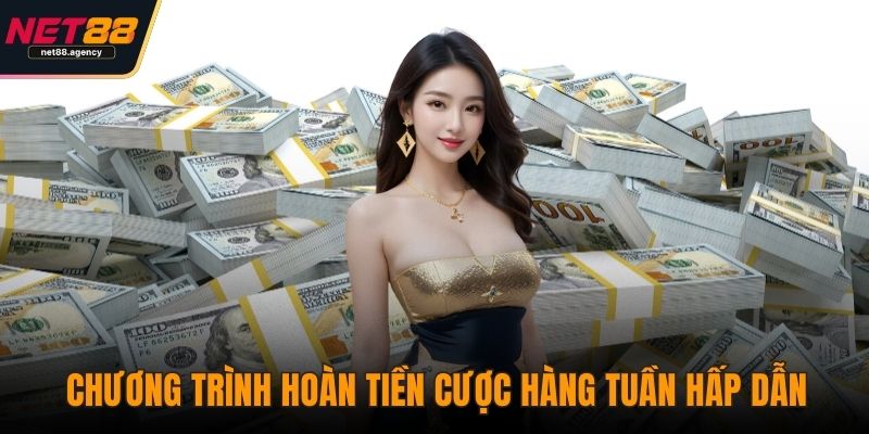Khuyến Mãi NET88 - Nâng Tầm Trải Nghiệm Cá Cược Trực Tuyến Chương trình hoàn tiền cược hàng tuần hấp dẫn