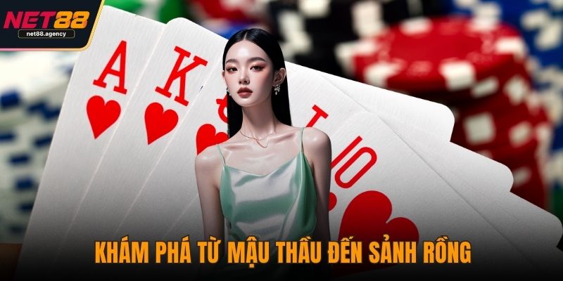 Mậu Binh NET88 - Đỉnh Cao Trí Tuệ Và Nghệ Thuật Sắp Bài Khám phá từ mậu thầu đến sảnh rồng