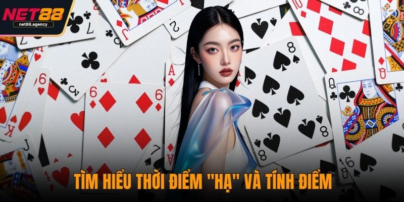 Phỏm NET88 - Nghệ Thuật Đọc Vị Và Đấu Trí Trong Từng Lá Bài Tìm hiểu thời điểm "hạ" và tính điểm