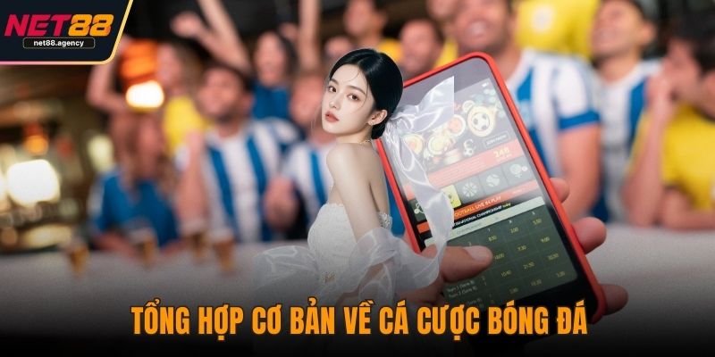 Cá Cược Bóng Đá Dưới Góc Nhìn Của Dân Chuyên Nghiệp Tổng hợp cơ bản về cá cược bóng đá
