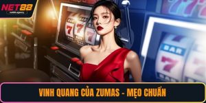 Vinh Quang của Zumas
