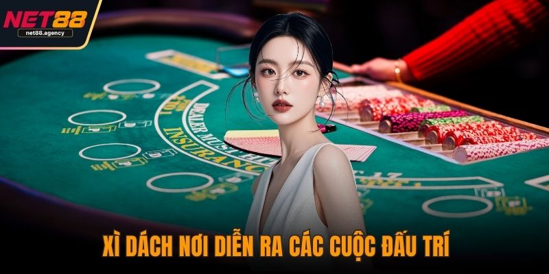 Xì Dách NET88: Cuộc Đấu Trí Giữa May Rủi Và Quyết Đoán Xì dách nơi diễn ra các cuộc đấu trí